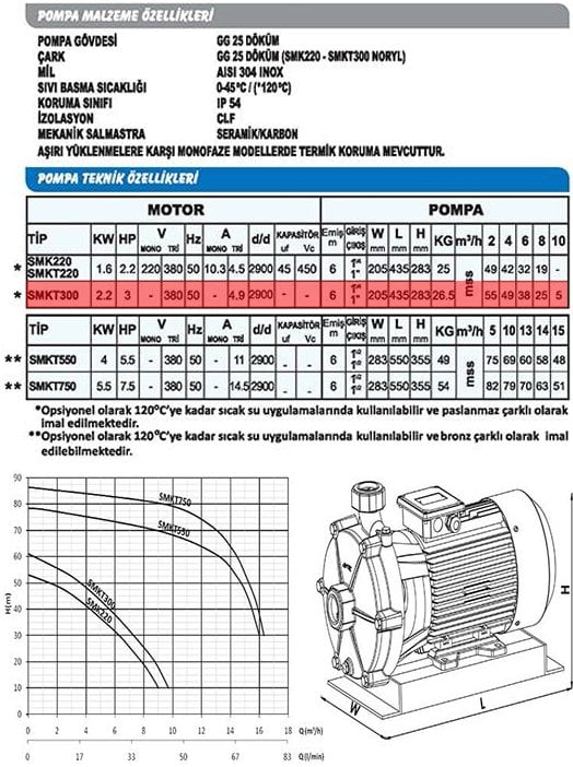 Sumak SMKT300-S Sıcak Su Çift Kademeli Santrifüj Pompa