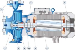 Pedrollo F 65/160A Flanşlı Santrifüj Pompa - 2