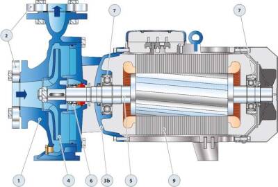 Pedrollo F 80/160A Flanşlı Santrifüj Pompa 30 HP - 2