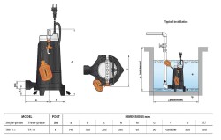 Pedrollo TR 0.75 Parçalayıcı Bıçaklı (Öğütücülü) Foseptik Dalğıç Pompa Trifaze (380V) 16,5 mss 7.5 m³/h - 4