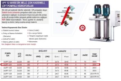 Ulusu 2xUPY 12/5 Düşey Milli Kademeli Çift Pompalı Hidrofor 2x3 Hp 380 Volt - 2