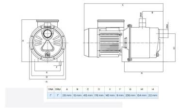 Wilo Jet SPS 4-44 Paslanmaz Gövdeli Kendinden Emişli Jet Pompa 1 Hp 44 mss 5 m³/h - 2