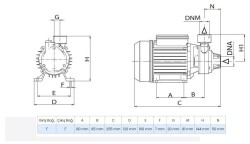 Wilo PV 30M Döküm Gövdeli Preferikal Pompa 0.5 Hp 35 mss 2 m³/h 220 Volt - 2