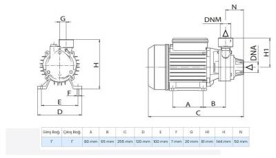 Wilo PV 30M Döküm Gövdeli Preferikal Pompa 0.5 Hp 35 mss 2 m³/h 220 Volt - 2